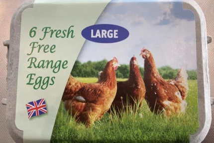 Farm Fresh Free Range Large Eggs 6 Pack