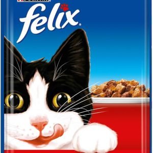 Felix-Cat-Food-Pouch-With-Beef-In-Jelly-100g