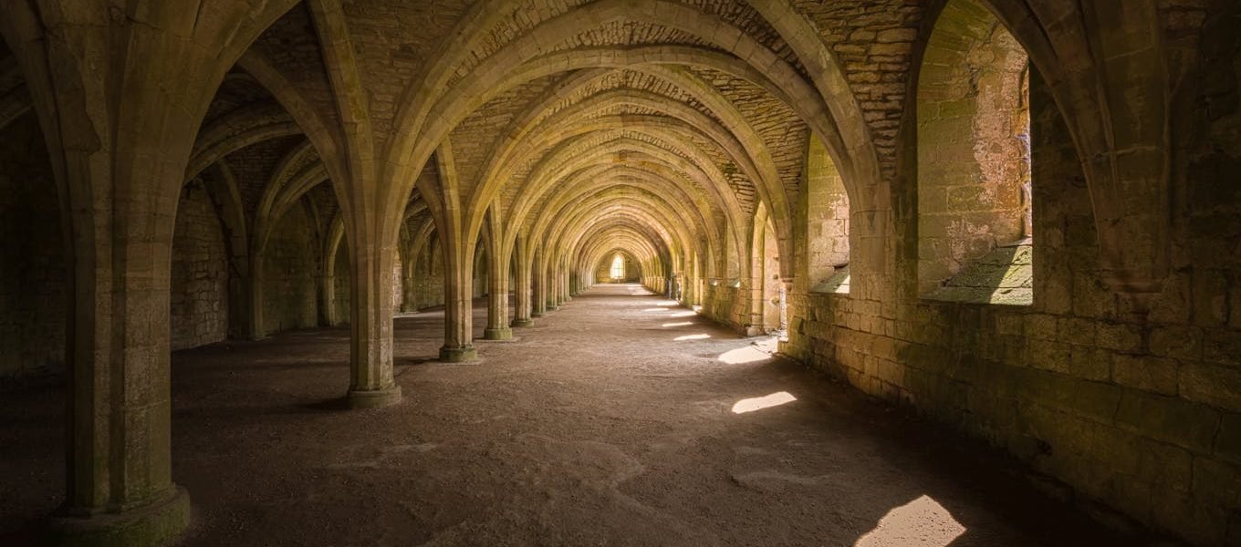 pexels-michael-d-beckwith-2150568551-31552845